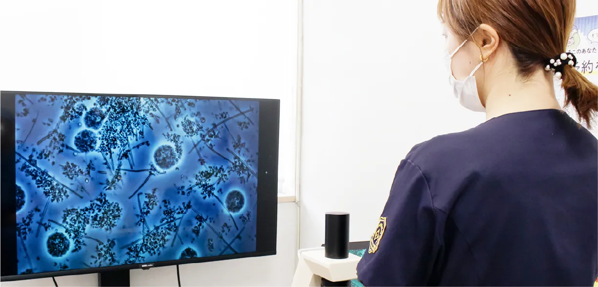 モニターを見ている歯科医師の写真